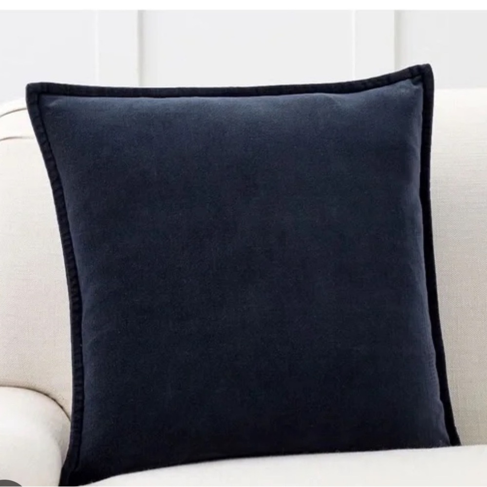 Pottery Barn Velvet Pillow